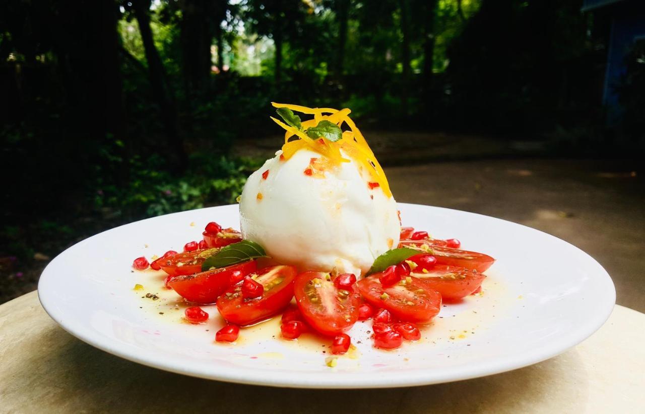 Solo Inn Kochi Dış mekan fotoğraf